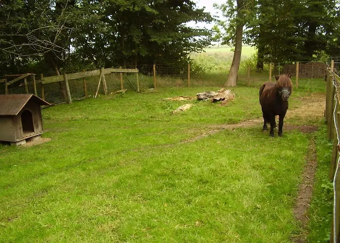 Lantgård In 20-068 Dornumersiel